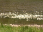 Lac La Servaz