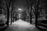 Highlight for Album: Nevicata 6 Gennaio 2009