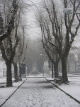 Highlight for Album: Nevicata 28 Dicembre 2003
