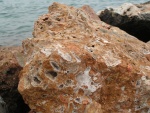 Scoglio