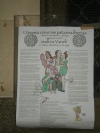 Manifesto per la laurea