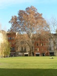 Giardino della Pilotta