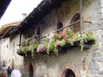 Highlight for Album: Ricetto in fiore