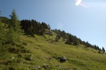 Highlight for Album: Camminata al rifugio Barbustel