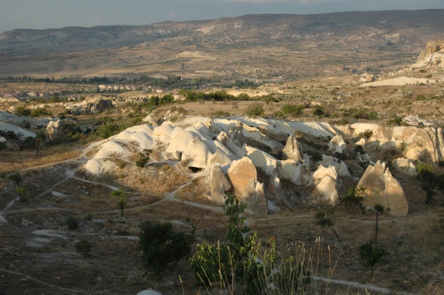 dsc 1416