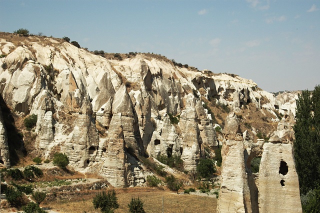 dsc 1437