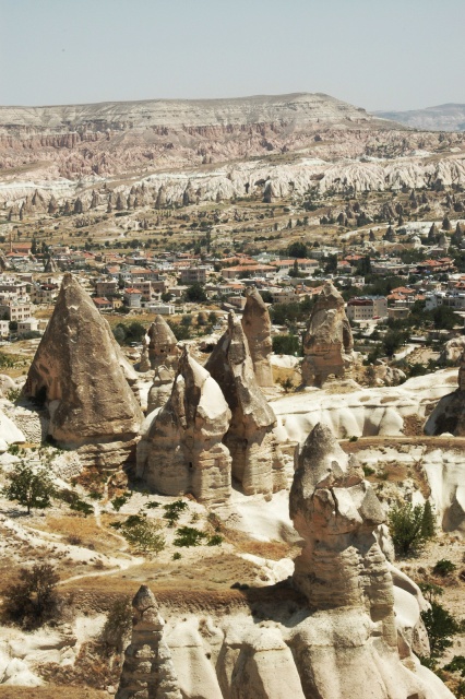 dsc 1447