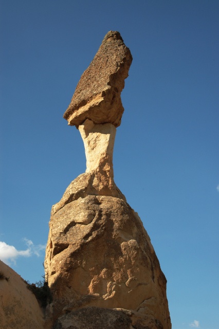 dsc 1516