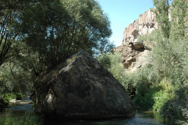 dsc 1545