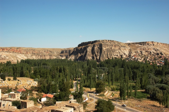 dsc 1555