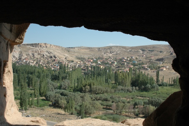 dsc 1556