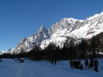 Highlight for Album: Val Ferret